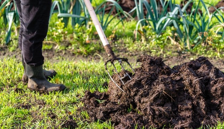 Los estiércoles aviares y porcinos tienen la desventaja de causar malos olores