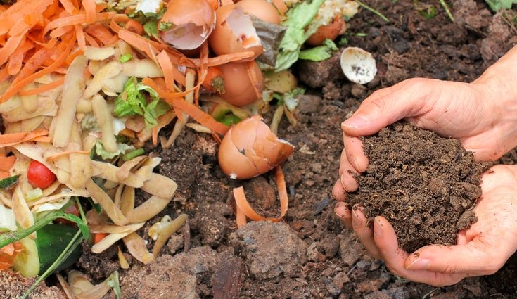 El compost es un tipo de abono