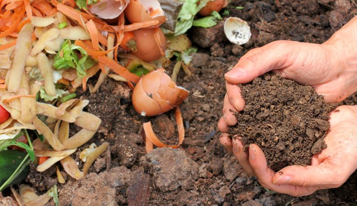 El compost casero es muy beneficioso para el medio ambiente