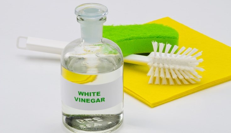 Vierte dos chorritos de vinagre en un litro de agua