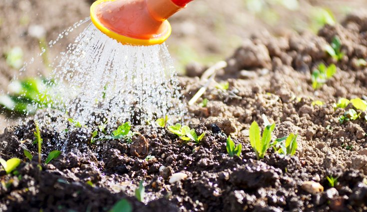 El riego depende del tipo de cultivo y de cada estación del año