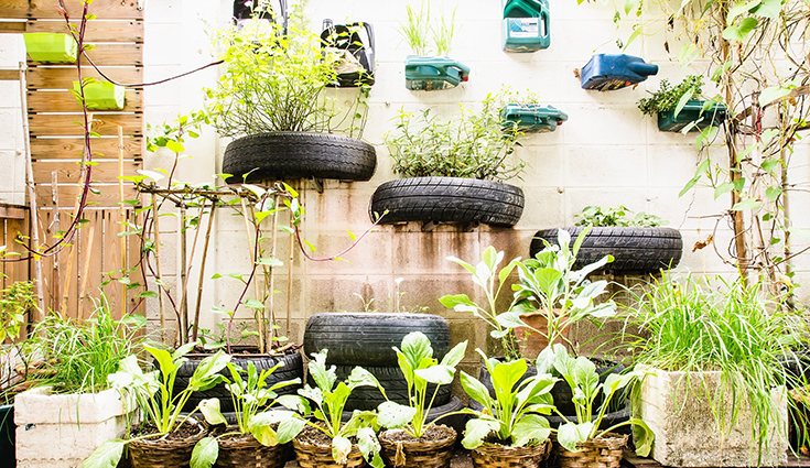  Ha surgido un fenómeno muy popular en los últimos años conocido como los 'huertos urbanos'
