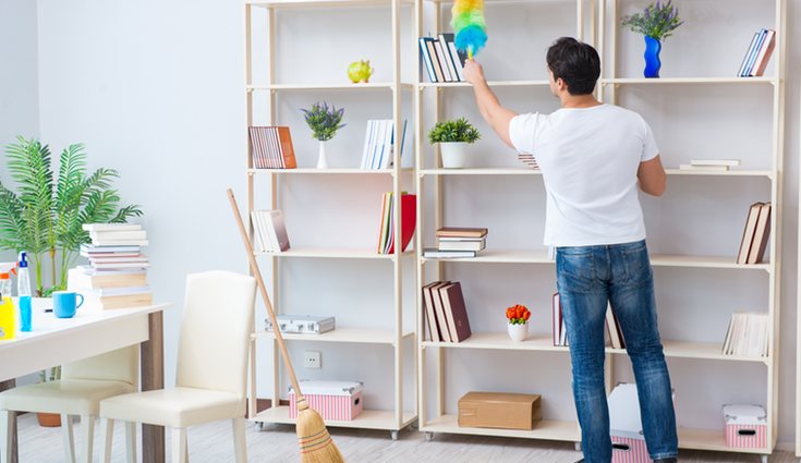 Cuantos menos elementos decorativos tengas, menos polvo acumularás