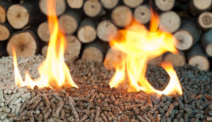 El pellet es un tipo de biomasa