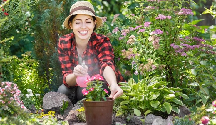 Cada gota cuenta. Puedes utilizar un rociador de spray para no malgastar agua.
