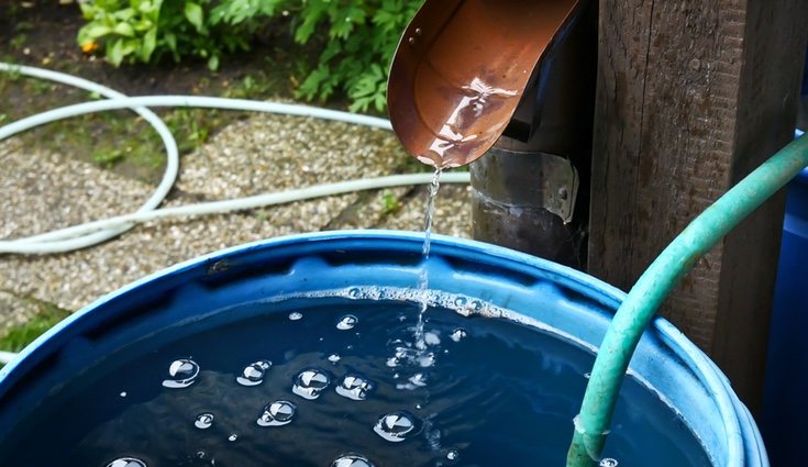 Barril de lluvia