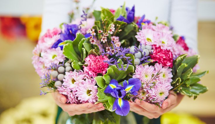 La ubicación es esencial para potenciar el mantenimiento de las flores. Busca una temperatura media