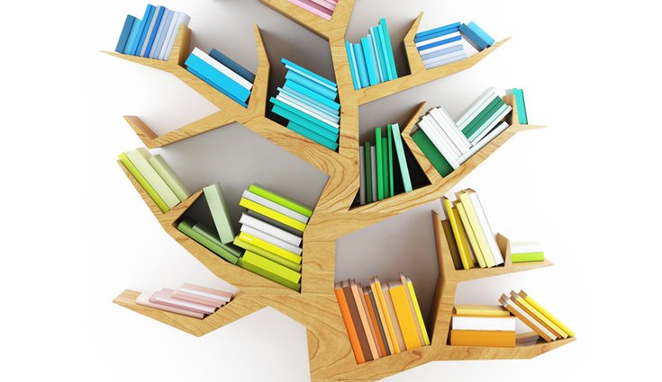Ordenar los libros por colores dará un gran impacto visual