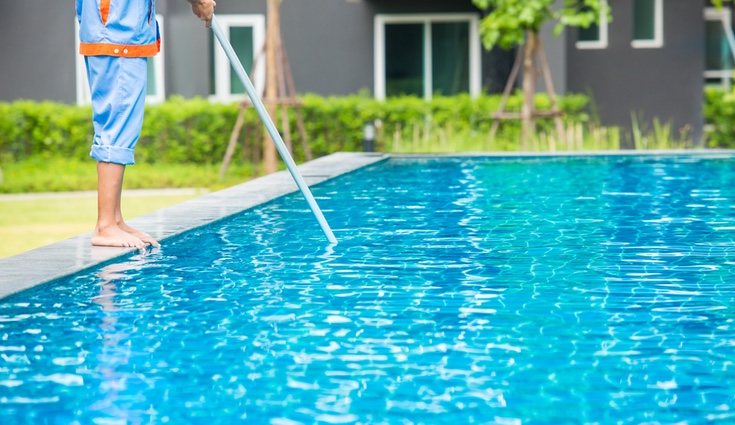 Lo ideal es disponer de una red de piscina para retirar la suciedad del agua