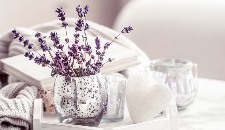 La lavanda alivia las tensiones y calma el estado de ánimo