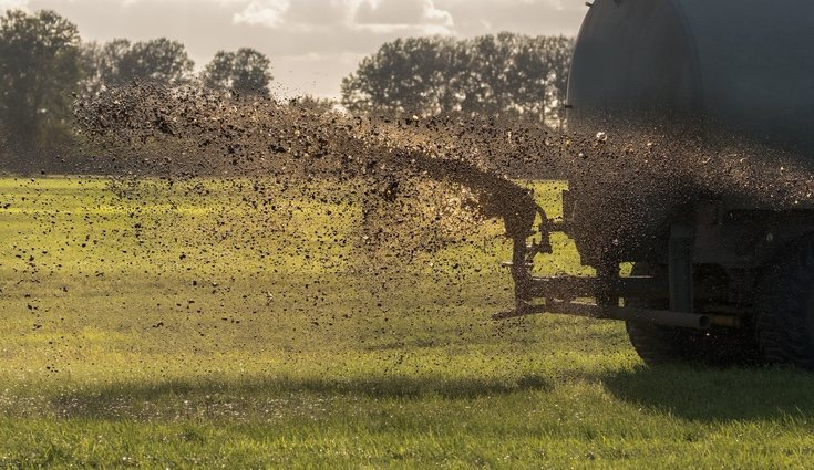 Antes de empezar a cultivar tienes que estar un año preparando el terreno