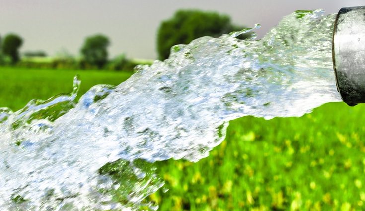 Hay que evitar un encharcamiento porque puede ahogar </p><p>a la planta