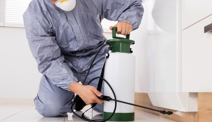Se recomienda limpiar y fumigar debajo de los electrodomésticos con frecuencia