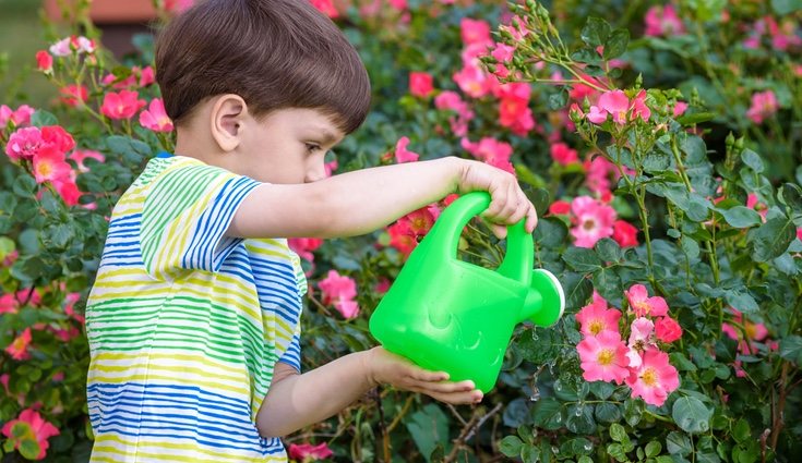 De 2 a 4 años ya pueden recoger su ropa o regar las plantas