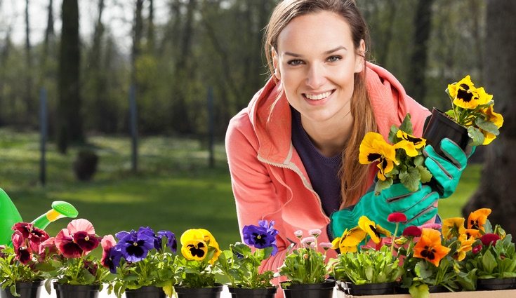 Aporta un toque de color a tu jardín con esta planta tan bonita