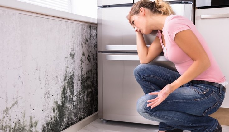 Los muebles de melamina también son resistentes al moho