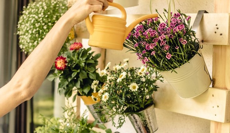 Con las plantas artificiales te ahorrarás regarlas todos los días