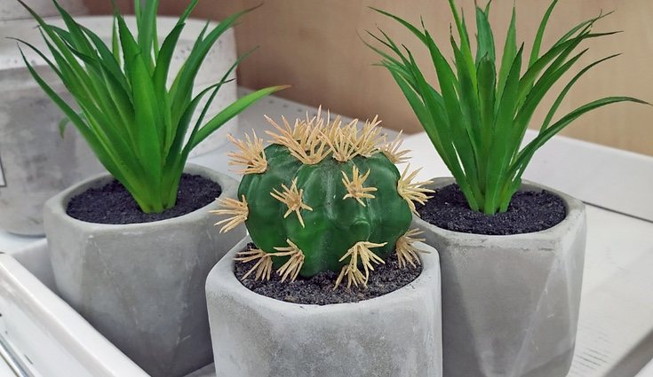 También existen plantas artificiales aromatizadas