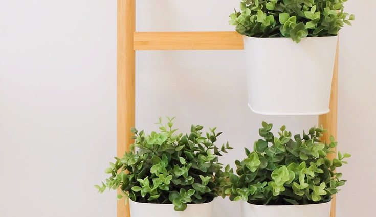 Es una buena idea para decorar ya que parecen muy naturales