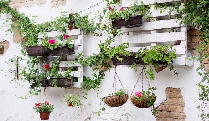 También se podrá usar como estantería </p><p>para colgar las plantas