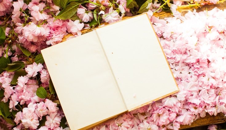 La naturaleza oriental está basada en plantas delicadas como las orquídeas o las flores de cerezo o almendro