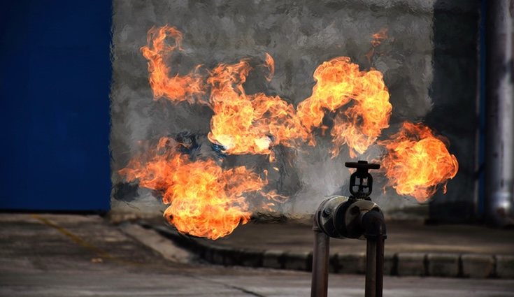 El olfato será determinante para detectar el olor