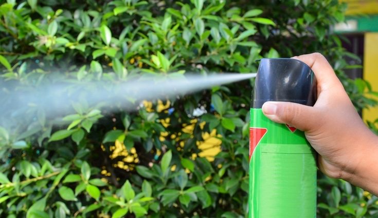 La eficacia de los insecticidas si que está demostrada
