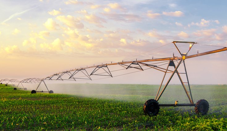 Hay tres tipos de riego:de suelo, irrigación subterránea y por goteo