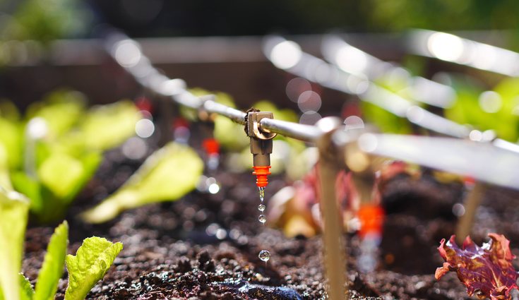 El riego por goteo es el más adecuado para terrazas