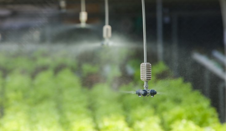 El riego por goteo es el más eficaz y completo