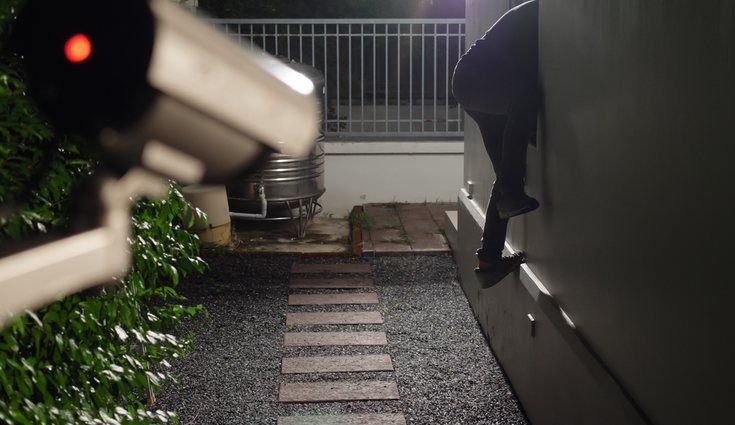 Normalmente suelen ocupar lugares abandonados