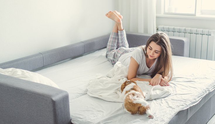 Los sofás cama es uno de los muebles que mejor viene a la hora de tener invitados