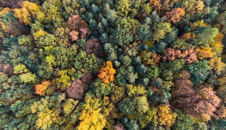 El otoño crea preciosos paisajes