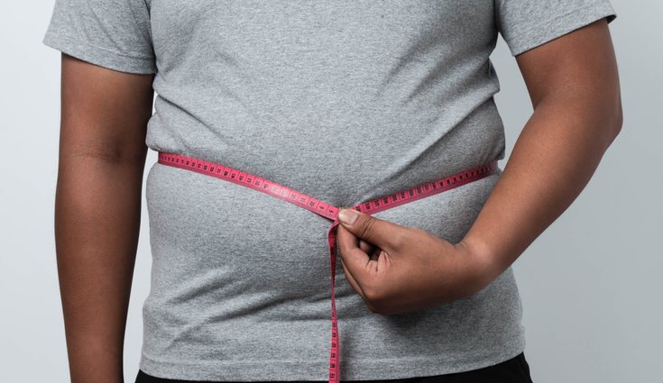 Las propiedades de esta planta se usan para solucionar los problemas de obesidad