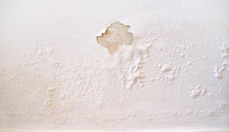 Será la mejor decisión si la pared tiene humedades