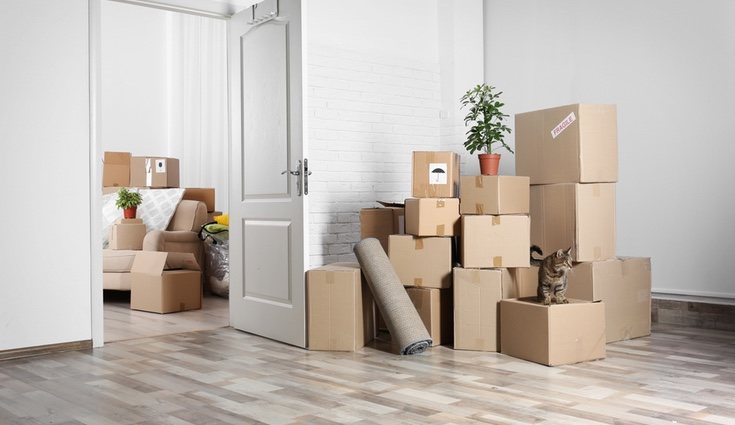 Mudarse es uno de los pasos más complicados cuando alguien se independiza