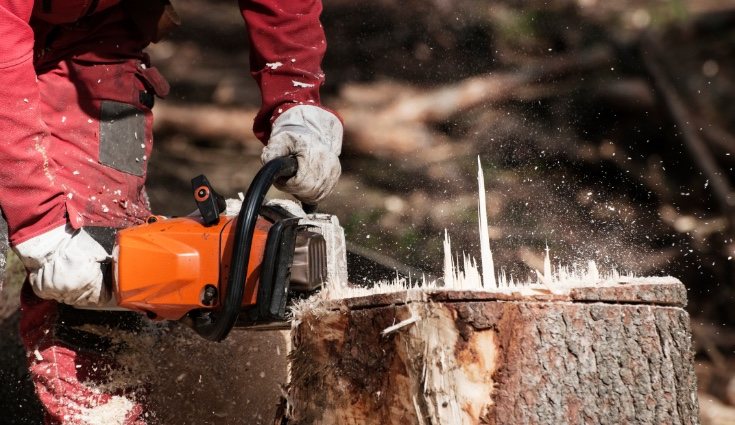 Con el equipo y la técnica adecuada quitar el tocón puede ser una tarea sencilla