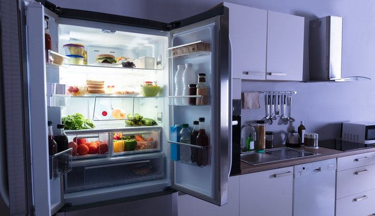 Una nevera limpia hace que los alimentos se mantengan libre de gérmenes y bacterias