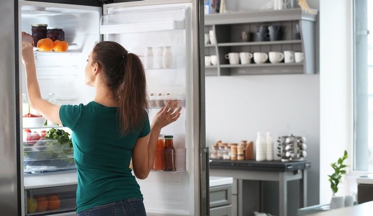 Seca la nevera con un poco de papel de cocina antes de meter los alimentos