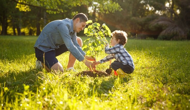 Existen muchas disciplinas vinculadas a la ecología