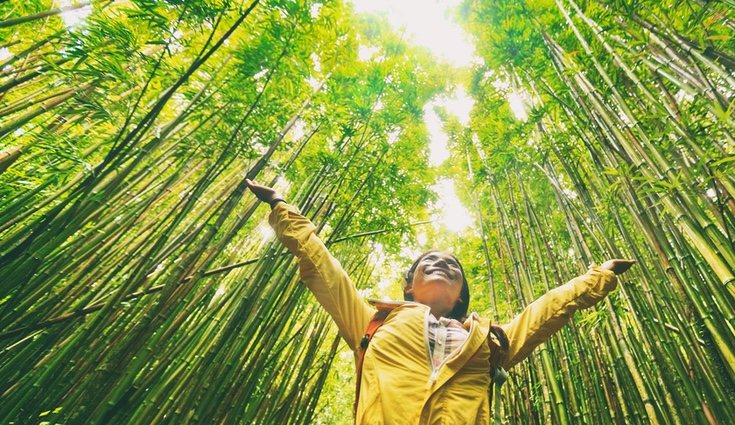 La ecología estudia la relación de los seres vivos con el medio ambiente
