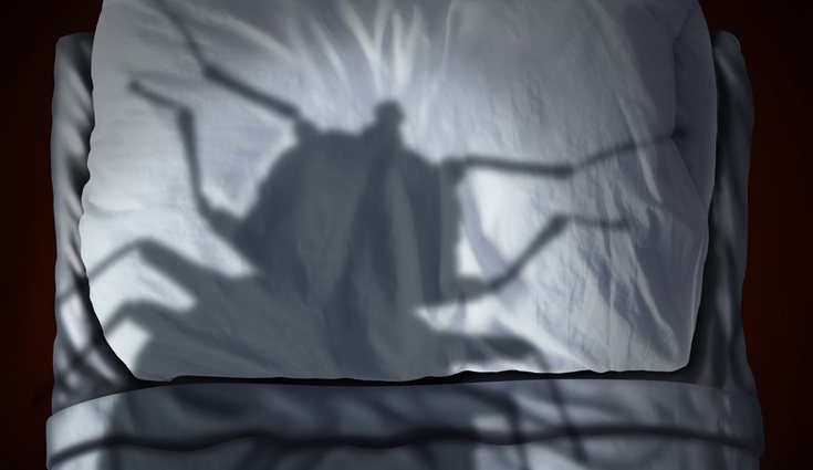 Puedes comprar un spray anti-chinches para eliminar estos insectos