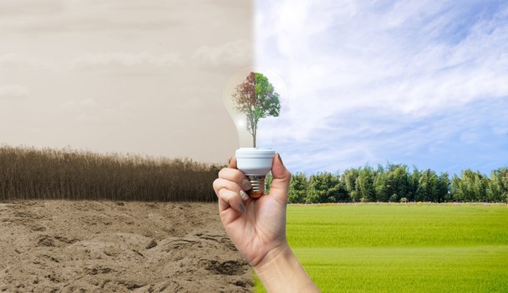 Cuando reciclamos le estamos dando tiempo al planeta para reforestarse