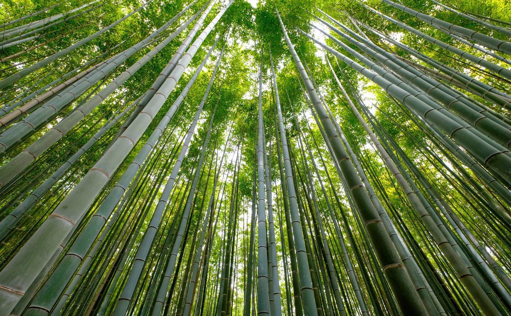 Feng Shui, ¿qué es?