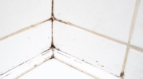 Cómo limpiar los azulejos del baño