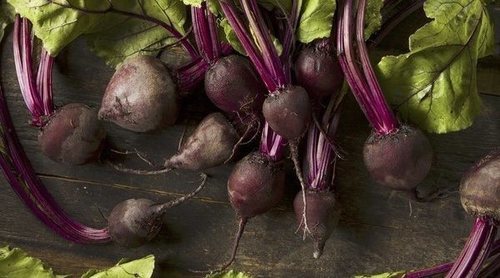 Cultivo de la remolacha
