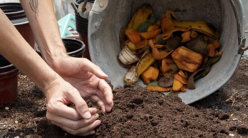 Compostaje casero: cómo empezar aunque vivas en un piso