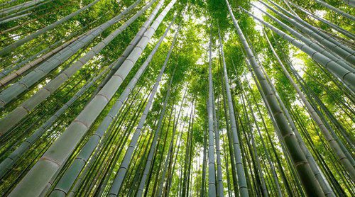 Feng Shui, ¿qué es?