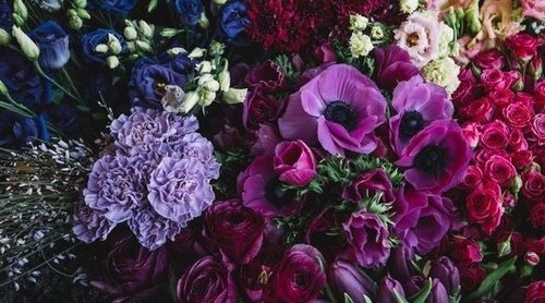 Flores de jardín