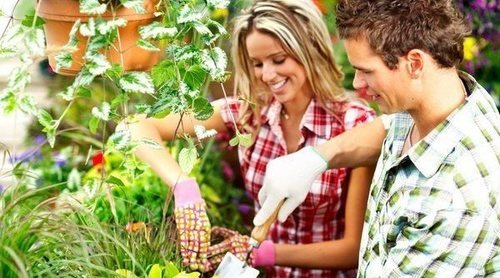 6 claves para cuidar el jardín en verano